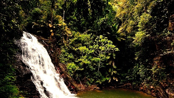 by Nicolas Lannuzel on Flickr.Kota Tinggi Waterfalls is a famous attraction in Kota Tinggi, Johor, Malaysia.
