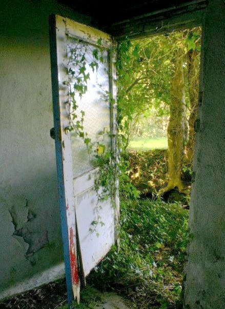 A Door to the Past, Fahan, Ireland