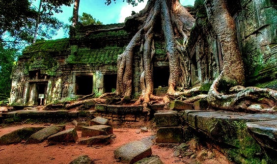 by jeffiebrown on Flickr.Ta Prohm Temple, Siem Reap Province, Cambodia.