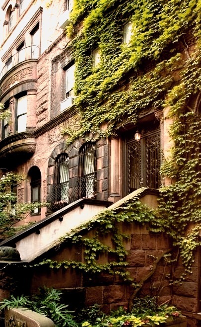 Ivy Entrance, Brooklyn, New York