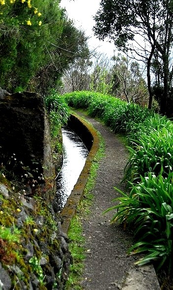 Waterways of Madeira Island, Canary Islands, Portugal