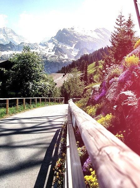 Hike from Murren to Gimmewald in Lauterbrunnen Valley, Switzerland