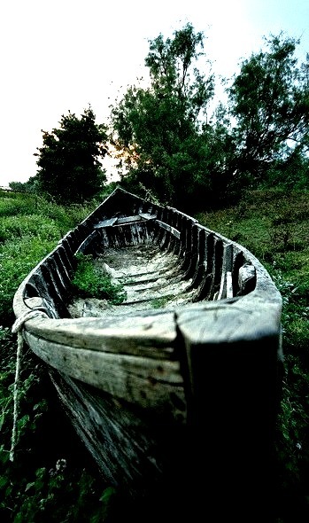 Abandoned boat in The Danube Delta, Romania