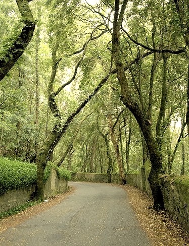 The uphill road to Castle of the Moors in Sintra, Portugal