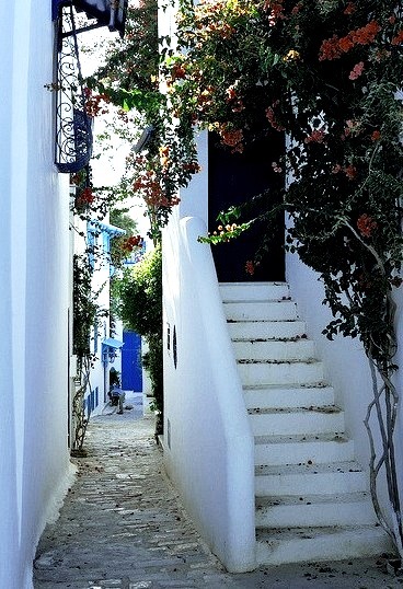 Beautiful narrow street in Sidi Bou Said, Tunisia