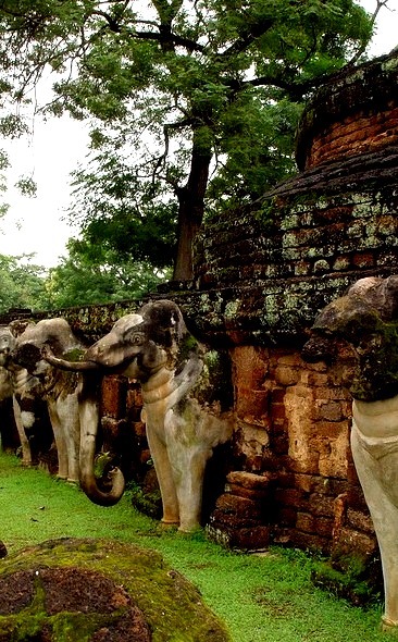 Elephants around chedi at Kamphaeng Phet Historical Park / Thailand
