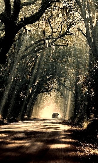Mystic journey, Botany Bay Road on Edisto Island / South Carolina